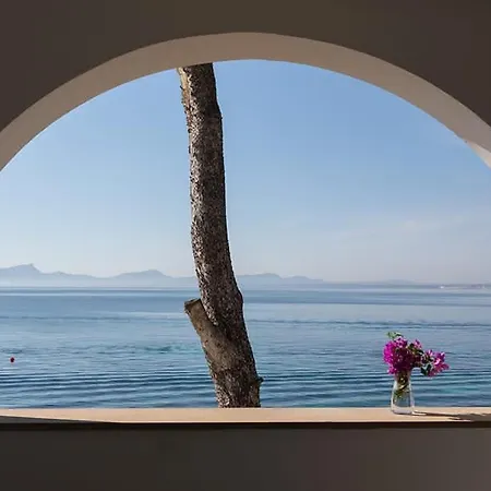 Apartman Alcudia-vida Sana-primera Linea De Mar